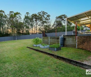 Spacious Family Home in Convenient Springwood Location - Photo 3