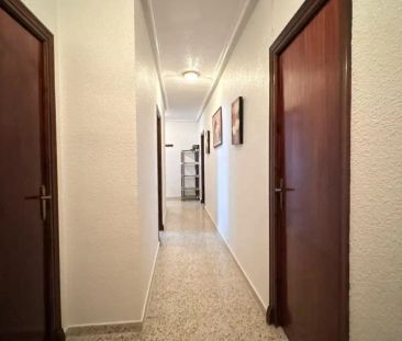 Elda - Photo 4