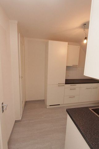 Newly renovated apartment for rent in the center of Bern - Photo 4