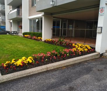 Markham Village - 5667 Hwy 7 - Photo 3