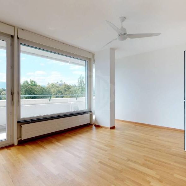 Bel appartement - Genève - Photo 1