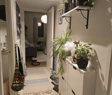 Hörle Björkelund - Foto 3