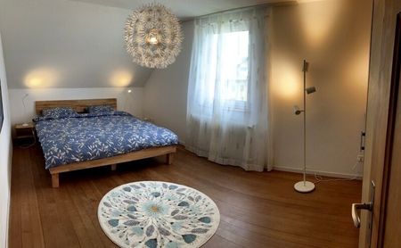 3-ROOM APARTMENT IN BASSERSDORF (ZH), FURNISHED, TEMPORARY - Photo 5