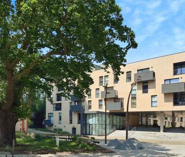 Burgess Springs - Photo 5