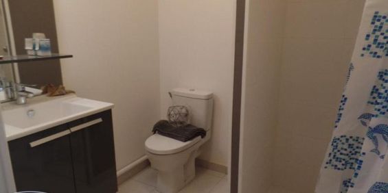 Location Appartement 1 pièce 19m² LILLE 59000 - Photo 3