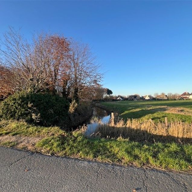 Gezellige vrijstaande woning met 1 slaapkamer en zeer grote tuin met open zicht op het groen+ ruime garage en bergplaats - Foto 1