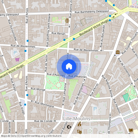 13 Bis Rue Lamartine, 59000, Lille