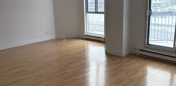 Grand 4.5 En Plein Cour De Hull à Louer - Photo 2