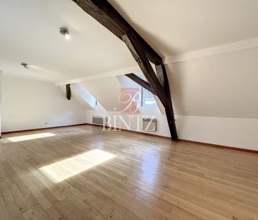 Location Appartement 3 pièces 60m² STRASBOURG 67000 - Photo 3