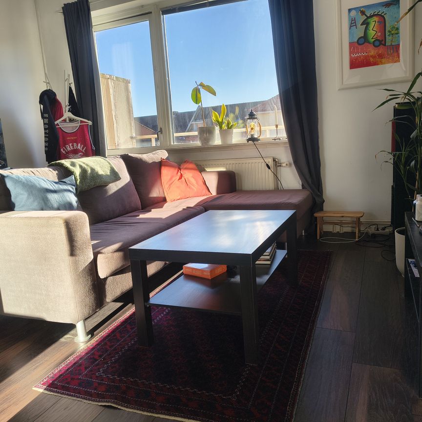 Sadelmakaregatan, Helsingborg - Photo 1