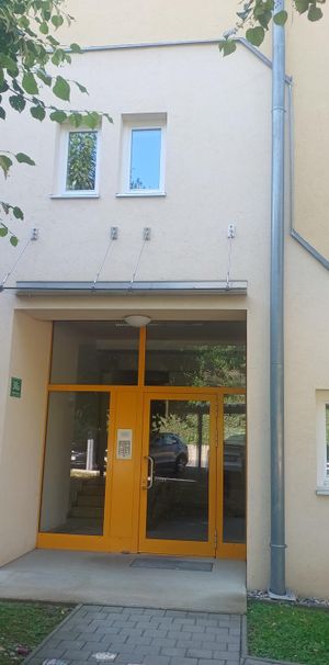 Pfeifferhofweg 28-30/12: 3 Zimmer Wohnung mit Terrasse in Andritz - Photo 1