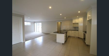 North Orange Dream - Photo 5