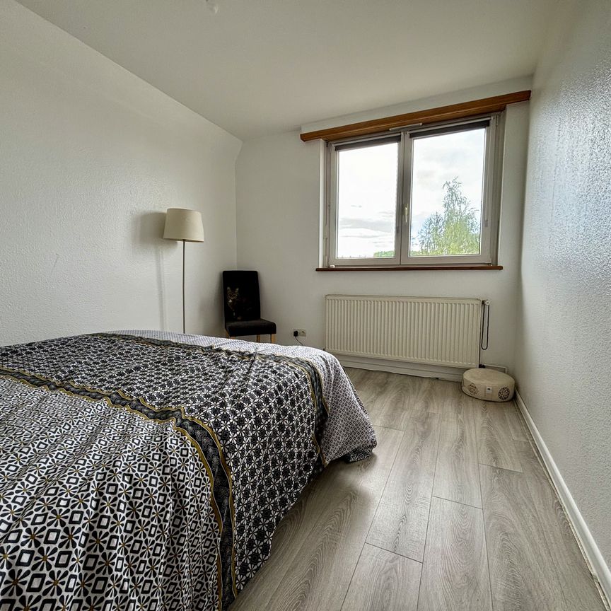 Location Appartement BLOTZHEIM 990 € CC - Photo 1