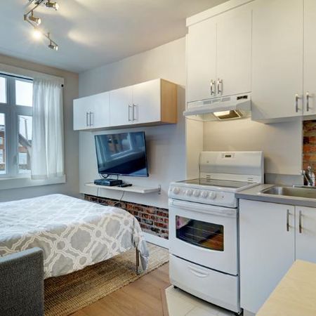 Loft entièrement meublé à louer Saint-Jean-Baptiste octobre 2025 - Photo 3