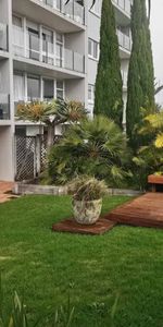 Best-value 3-bedroom in Ōrākei - Photo 4