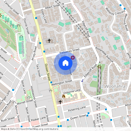 8 Fullerton Street Woollahra NSW