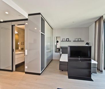 Modern möbliertes 1-Zimmer-Apartment - Foto 3