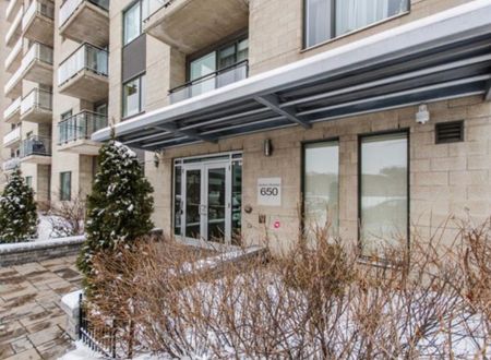 605 Rue Jean-D'Estrées, app.808, H3C 0G3, Montréal - Photo 3