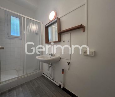 Location Appartement 1 pièce 29m² GRENOBLE 38100 - Photo 6