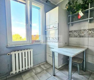 3. pokoje w centrum Polic na wynajem od zaraz! - Фото 6