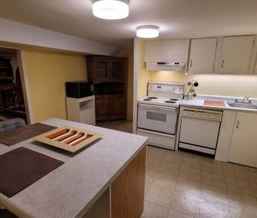 Spacious, Furnished 1-Bedroom Basement - near Leslie &York Mills - Cit - Photo 2