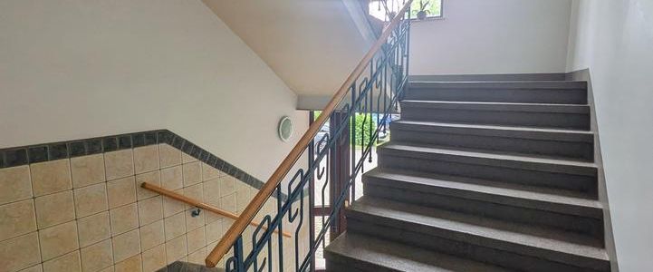 ++ wunderschöne, neue 2-Raum Wohnung - WG geeignet - mit Balkon & Stellplatz (auf Wunsch) ++ - Photo 1