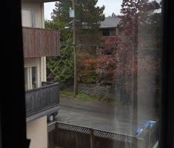 1BR Marpole - Photo 4