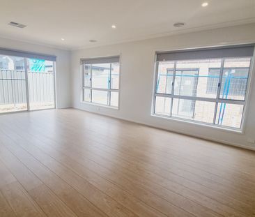 Bright & Beautiful! - Photo 1