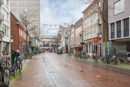 Looierstraat 211 6811 AT Arnhem - Foto 5