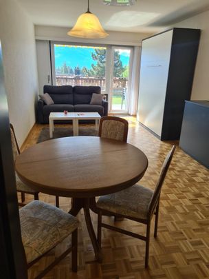 1.5 Zimmer, 28 m², EG - Foto 1