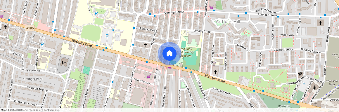 Bishops Avenue, Newcastle upon Tyne, NE4