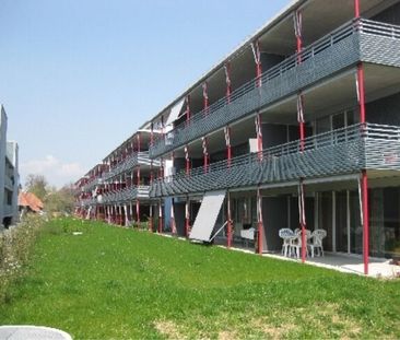 Sunny apartment with sitting area in the garden - Photo 4