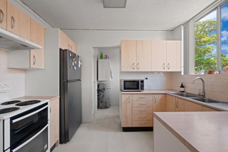 Sundrenched With Extra Large Proportions - Photo 3