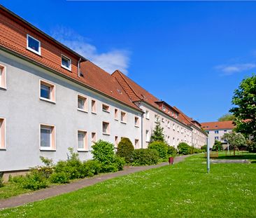 Wir renovieren für Sie! Tapete+Laminat - Photo 4