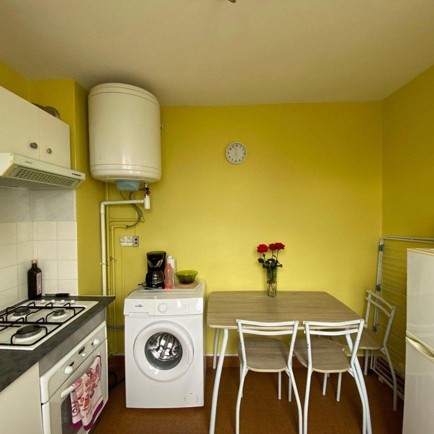 Location Appartement 1 pièce 30m² ROMANS SUR ISERE 26100 - Photo 1