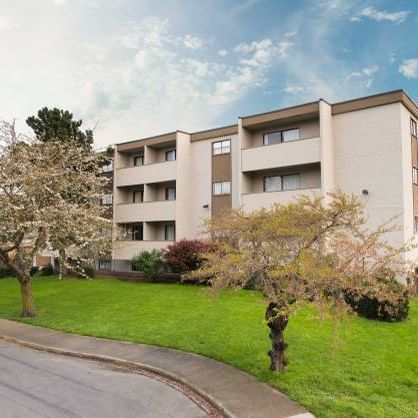 WALK TO TOWN, Quadra Village, large 1 bedroom - Photo 3