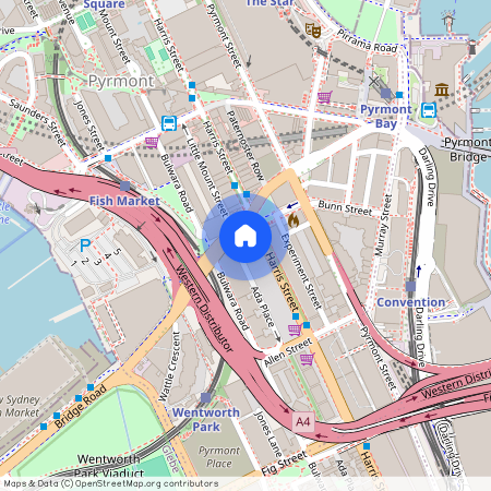 116/209 Harris Street, Pyrmont 2009, New South Wales