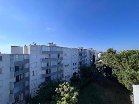 Location appartement 1 pièce 34.25 m² à Montpellier (34000) - Photo 2