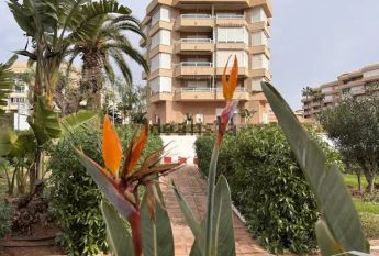 Alquiler de estudio en Urbanización Costa del Oro