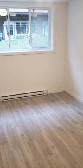 1 CH - 1 SDB - Montréal - $1,100 /mo - Photo 1