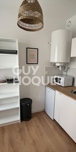 Location Appartement 1 pièce 23m² - Photo 3