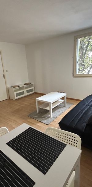 Location Appartement 1 pièce 23m² DIJON 21000 - Photo 1