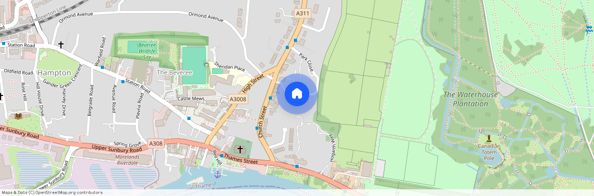 Kings Paddock, Hampton, TW12