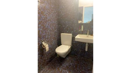 2½ Zimmer-Wohnung in Zürich - Kreis 10 Höngg, möbliert, auf Zeit - Photo 5