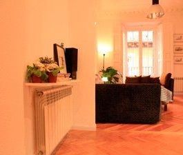 Madrid Capital, Community of Madrid 28012 - Photo 4