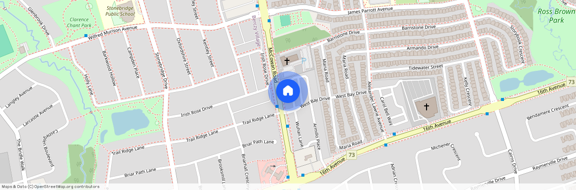 14 Pantheon Lane Unit# BSMT, Markham