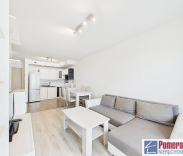 Śródmieście, ul. Potulicka - Zdjęcie 6