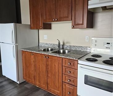 For Lease - 135 James Street Unit# 1004, Hamilton, Ontario - Photo 3