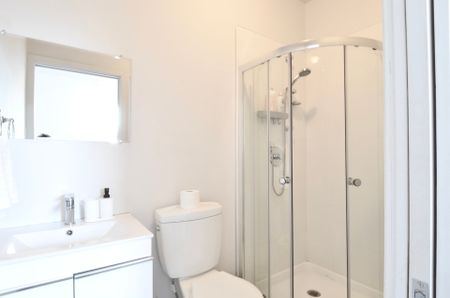 Condo for rent, Montréal (Le Plateau-Mont-Royal) - Photo 2