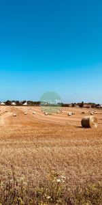 OCTEVILLE SUR MER - T5 - T6 - 140m² - Photo 3